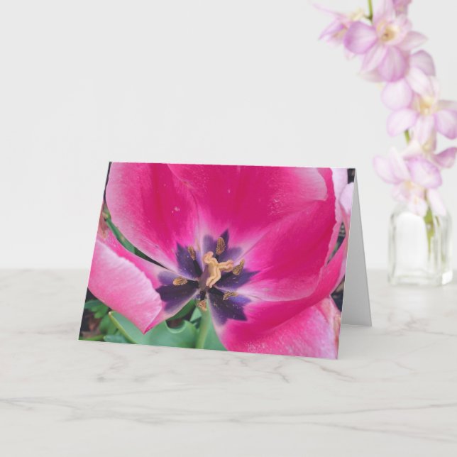 Cartão de Boas-Vindas Tulipa Rosa (Orquídea)