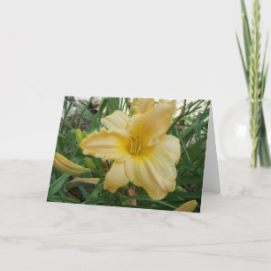 Cartão de Boas Vindas Yellow Lily Stella d'oro