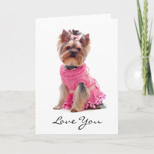 Cartão de Boas-Vindas Yorkshire Terrier Amor Você