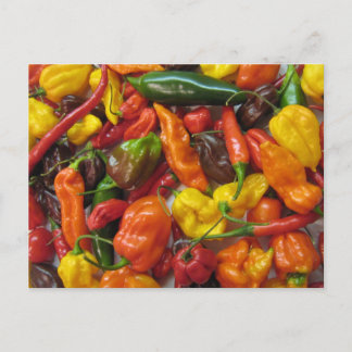 Cartão de cabeça chilihead