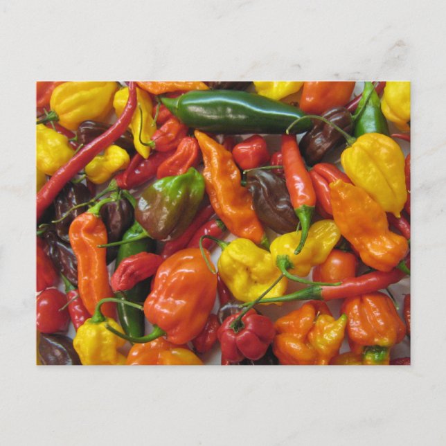 Cartão de cabeça chilihead (Frente)