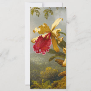 Cartão de Cabeçalho de Orquídeas e Beija-flor