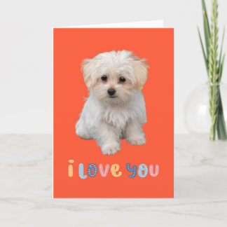 Cartão de cachorrinho fofo, eu amo você, cartão de