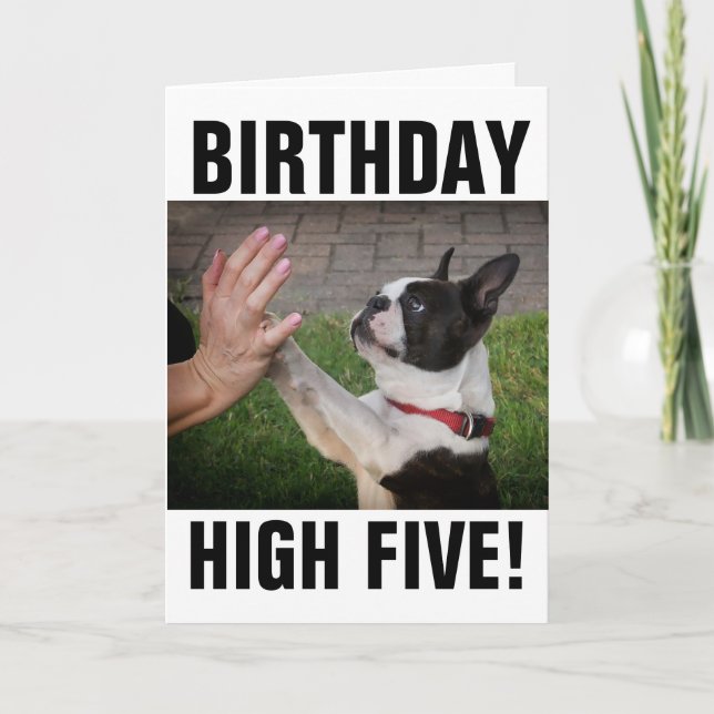 CARTÃO DE CACHORRO ALTO CINCO FUNNADO DE ANIVERSÁR (Frente)