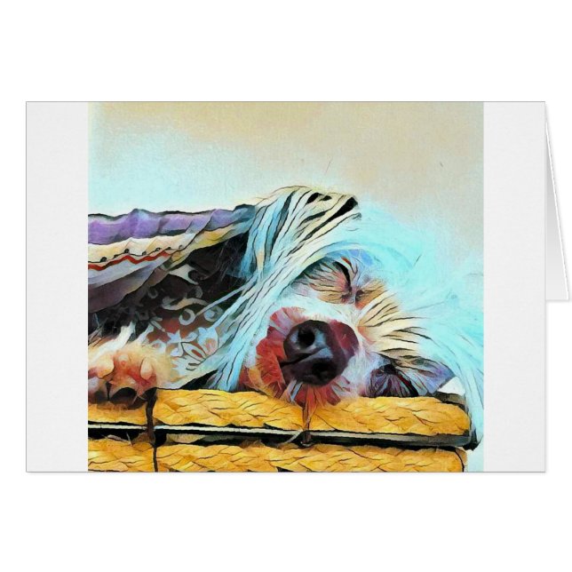 Cartão de Cachorro Azul Penteado Chinês Adorável (Frente Horizontal)