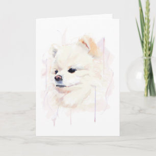 Cartão de Cachorro Pomerânia, Pintura em Aquarela
