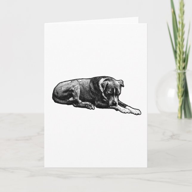 Cartão de Cachorro Quente (Frente)