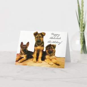 Cartão de cachorros de Shepherd Feliz Aniversário
