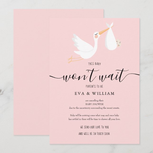 Cartão de Cancelamento de Chá de Bebê, Sprinkle (Frente/Verso)