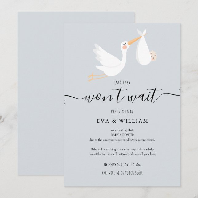 Cartão de Cancelamento de Chá de Bebê, Sprinkle (Frente/Verso)