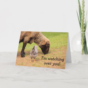 Cartão de Cancer de Amigos Animais