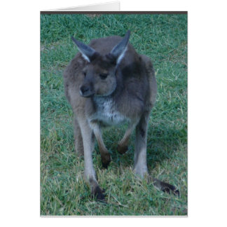 Cartão de canguru Skippy