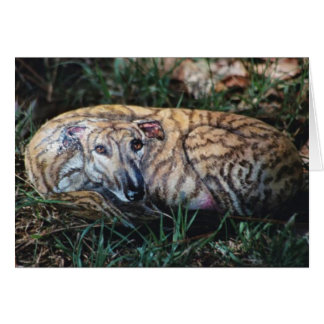 Cartão de cão "Andy"