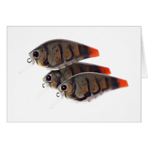 Cartão De Cárter De Pesca