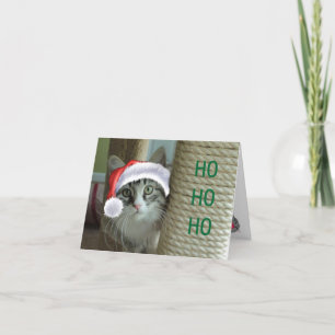 Cartão de Cartões de natal Siberiano