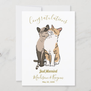 Cartão de casamento para gatos lindos