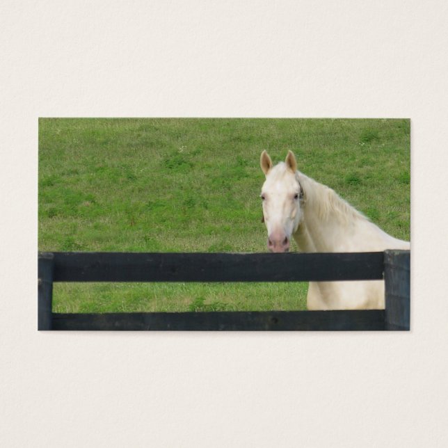 Cartão de cavalo (Frente)