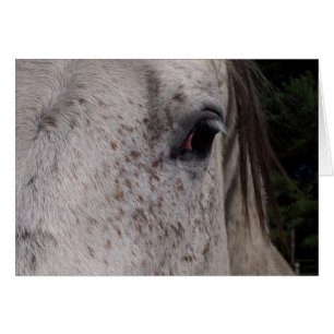 Cartão de Cavalo de cinza