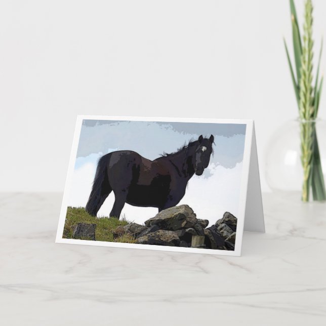 cartão de cavalo preto (Frente)
