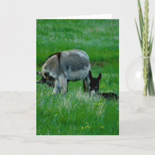 Cartão de cena de natureza de You ausente