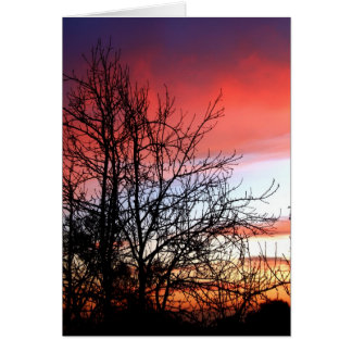 Cartão de Céu Vermelho Silhouette da Árvore Viva