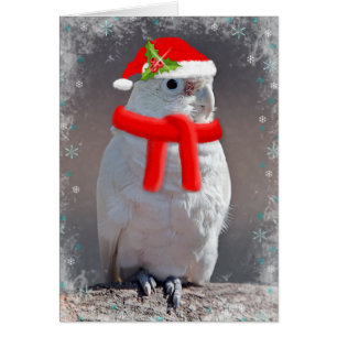 Cartão de Cockatoo de Natal (Introduza A Sua Própr