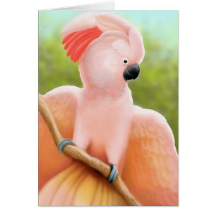 Cartão de Cockatoon Molucano