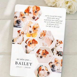 Cartão de Colagem de Foto Simples Pet Memorial Mod