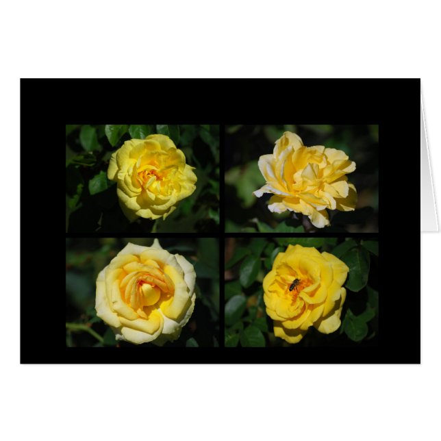 Cartão de Colagem de Rosas Amarelas (Frente Horizontal)