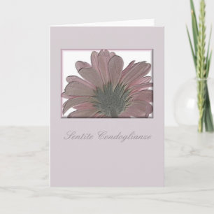 cartão de compaixão gerbera cor-de-rosa italiano