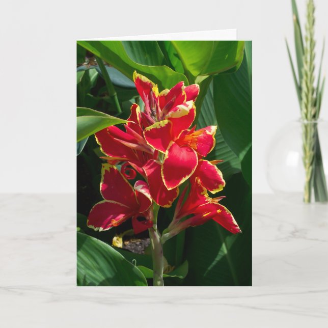 Cartão de condolências (Frente)