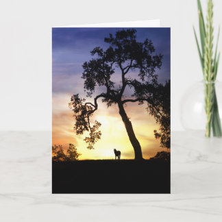 Cartão de condolências