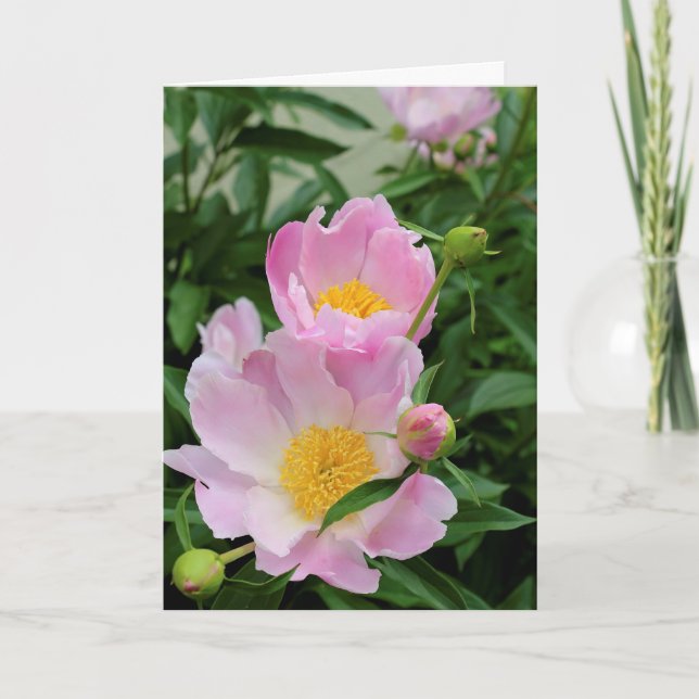 Cartão de condolências (Frente)