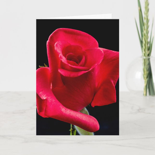 CARTÃO DE CONDOLÊNCIAS COM ROSA VERMELHA (Frente)