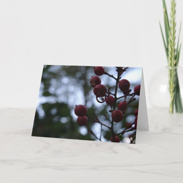 Cartão de condolências Cristão Salm Bíblia Verso (Frente)