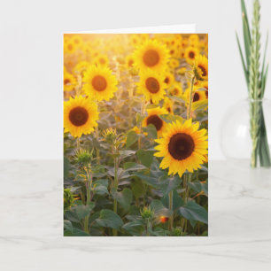 Cartão de condolências DE CAMPO SUNFLOWER