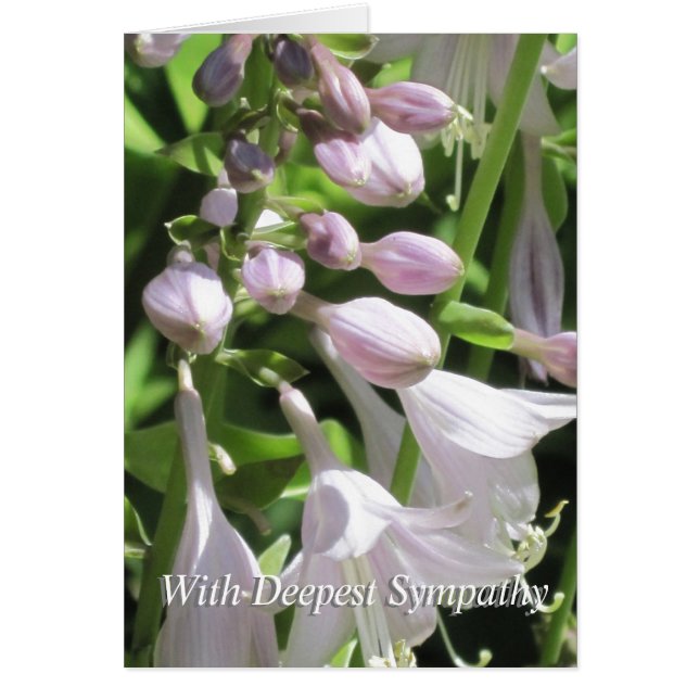 Cartão de condolências de Condolências do Grupo de (Frente)