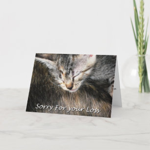 Cartão de condolências De Gato De Pet, Perda De Ga