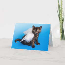 Cartão de condolências de gatos