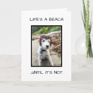 CARTÃO DE CONDOLÊNCIAS FUNNY