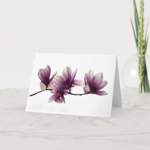 Cartão de Condolências Magnolia Blossoms