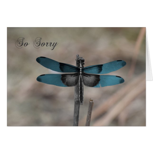 Cartão de condolências Natural da Dragonfly Azul (Frente Horizontal)
