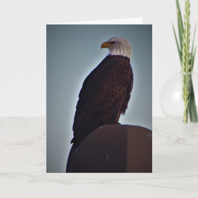 Cartão de condolências "Pássaro Superior" (Frente)