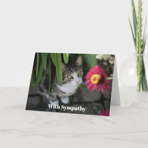 Cartão de Condolências Personalizado para Gato Mem