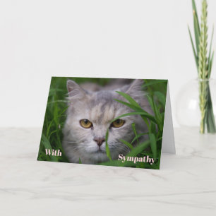 Cartão de Condolências Personalizado para Gato Mem