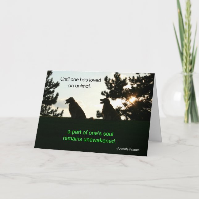 Cartão de condolências Pet do ouro Retriever (Frente)