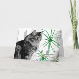 Cartão de condolências Pet para Cat