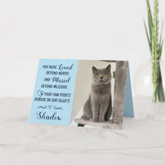 Cartão de Condolências por Perda de Gato Personali