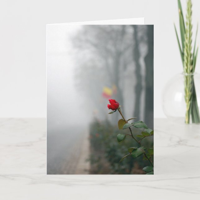 Cartão de condolências rosa vermelha (Frente)