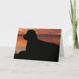 Cartão de condolências Sunset da Terra Nova
